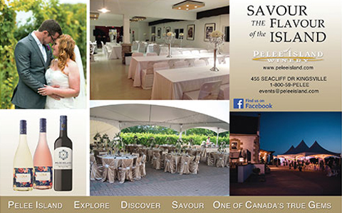 Pelee Island Winery